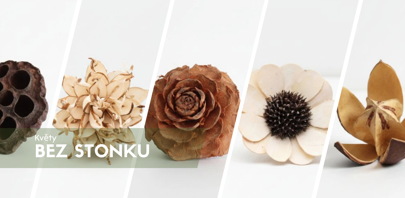 Sušené květiny pro tvoření a floristické dekorace
